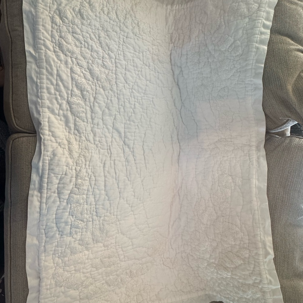 Pottery Barn Kids & Monique Lhuillier Crib Quilt EUC